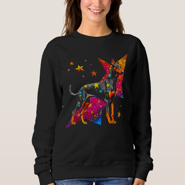 Sudadera Dog Doberman Pinscher Space Astrophysics (Anverso)