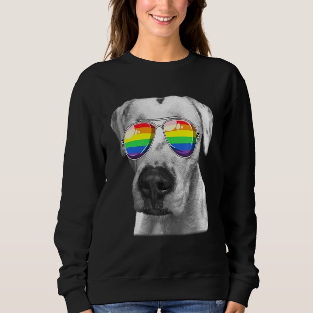 Sudadera Dogo Argentino Perro Gay Bandera del Orgullo Gay G (Anverso)