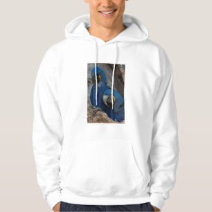Sudadera Dos guacamayos jacintos, Brasil