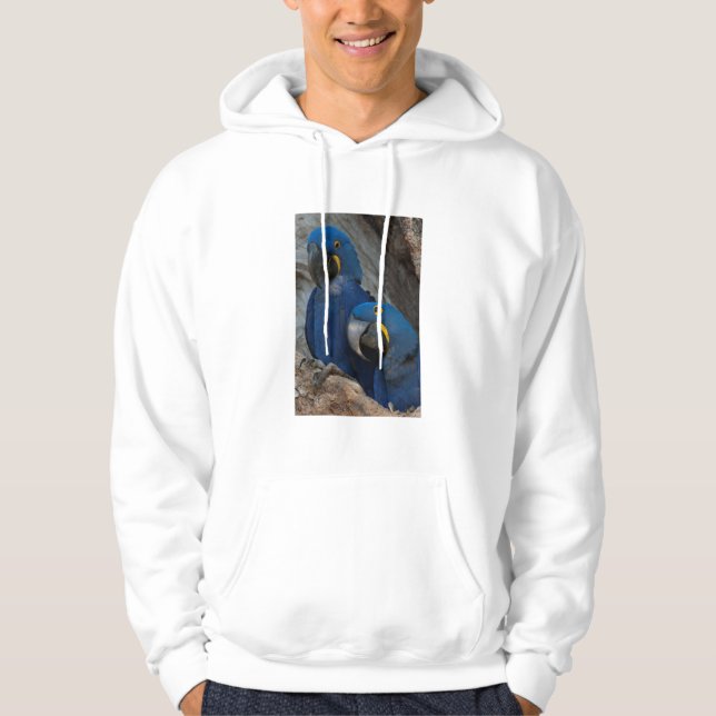Sudadera Dos guacamayos jacintos, Brasil (Anverso)
