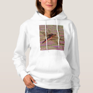 Sudadera Dragonfly Colorful