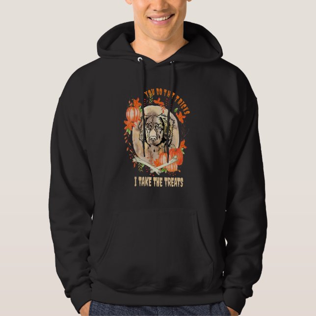 Sudadera Dueño de perro Retriever de Tolling de Pato de Nue (Anverso)