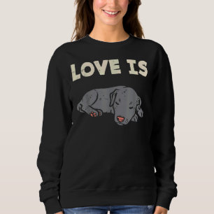 Sudadera El amor es Pitbull Cute Pitties Mascota animal Per