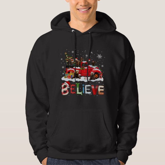 Sudadera El árbol de navidad del camión rojo cree Santa Cla (Anverso)