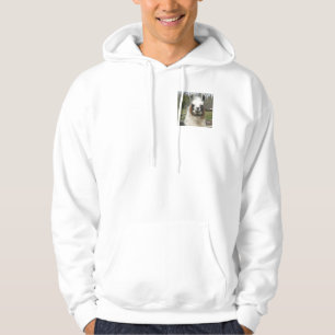 SUDADERA EL DAILY LAMA