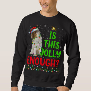 Sudadera El divertido árbol de navidad es esta joya de la b