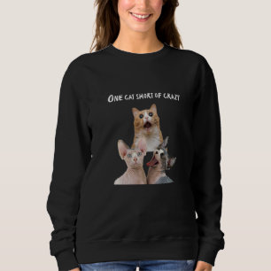 Sudadera El Loco Gato De La Dama Del Gato Toca Un Gato Cort