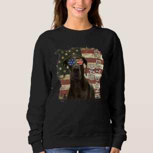 Sudadera El mejor padre retro del gran danés jamás bandera