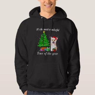 Sudadera El Perro Corgi Es El Momento Más Maravilloso Del A