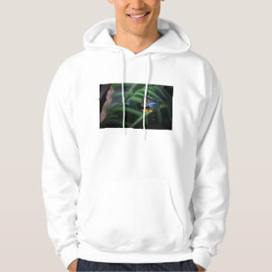 Sudadera El rojo observa la rana en la hoja