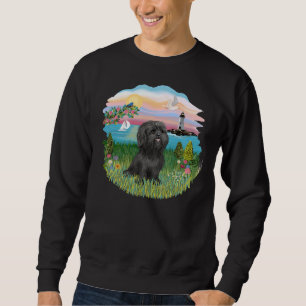Sudadera En La Costa Con Un Tzu Shih Negro
