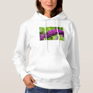 Sudadera energía de la katydid