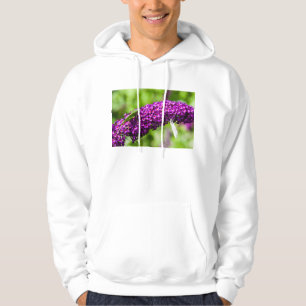 Sudadera energía katydid
