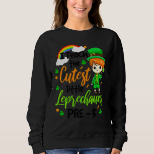 Sudadera Enseño A Los Leprechauns Más Cuidadosos En Pre K S