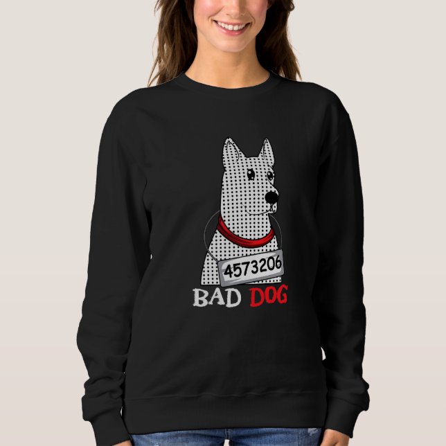 Sudadera Entrenador O Entrenador De Perros Malos (Anverso)