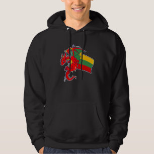 Sudadera Épico Dragón Lituano Orgullosa Bandera de Lituani