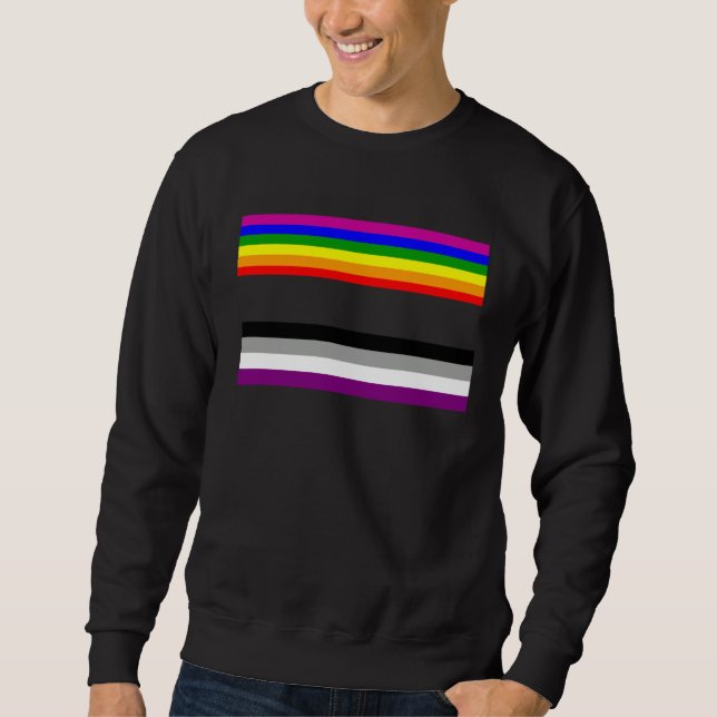 Sudadera Equal Sign Ace Flag Asexual Lesbian Equality Suppo (Anverso)