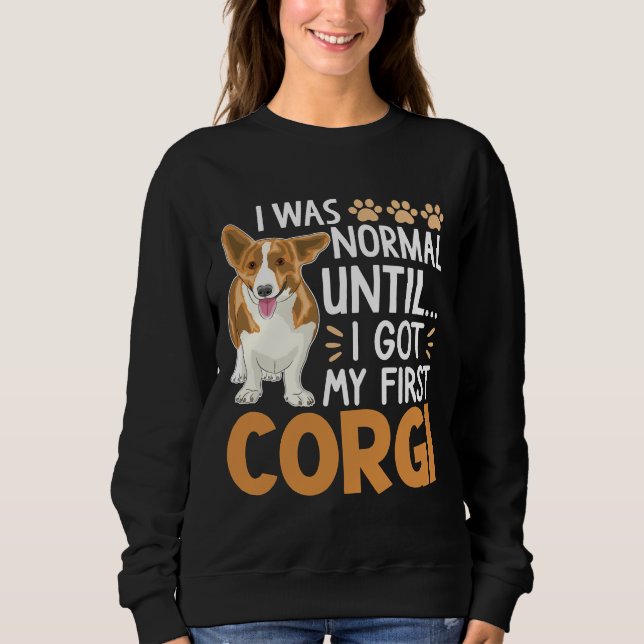 Sudadera Era Normal Hasta Que Conseguí Mi Primer Mascota De (Anverso)