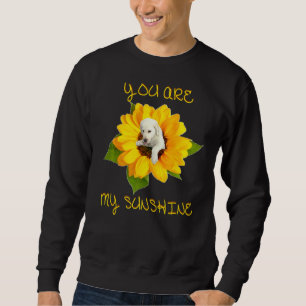 Sudadera Eres mi Sunshine Labrador Love Premium