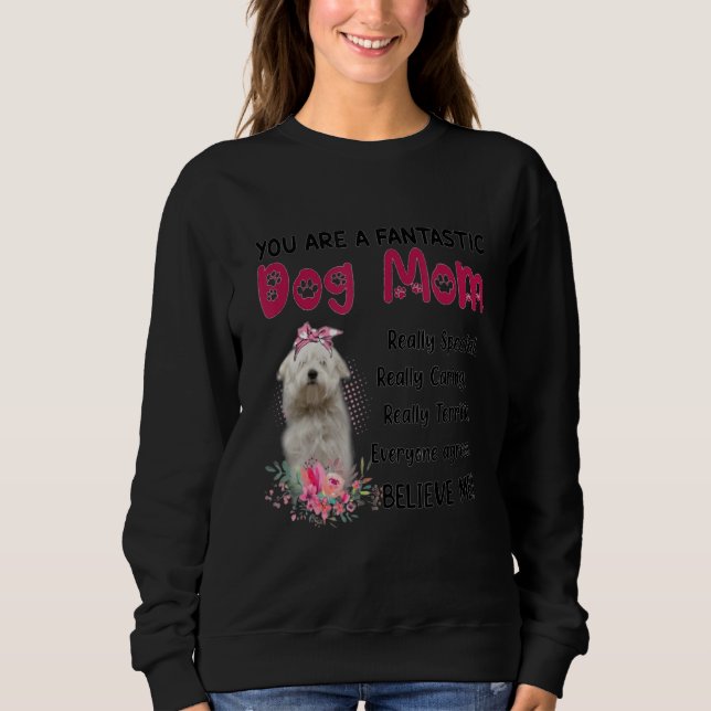 Sudadera Eres un fantástico perro madre feliz día de la mad (Anverso)