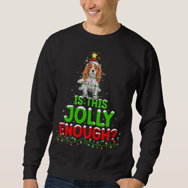 Sudadera ¿Es este alegre Cavalier King Charles Spaniel? (Anverso)