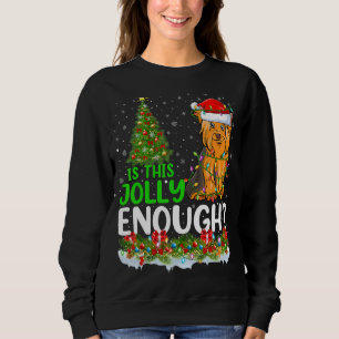 Sudadera ¿Es esto lo suficientemente alegre como para que e