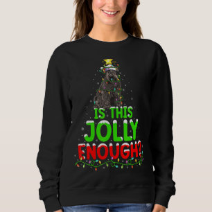 Sudadera ¿Es esto lo suficientemente alegre como para ser u