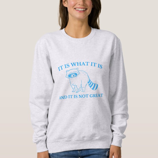 Sudadera Es Lo Que Es Y No Es Un Gran Dibujo (Anverso)