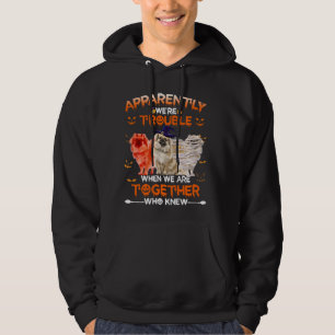 Sudadera Español tibetano Aparentemente somos un problema H