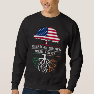 Sudadera Estados Unidos crece con raíces irlandesas - Irlan