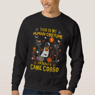 Sudadera Este Es Mi Disfraz De Humano En Realidad Soy Un Ca