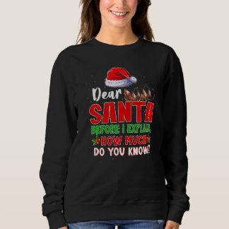 Sudadera Estimado Papá Noel Antes De Explicar Cuánto Sabes