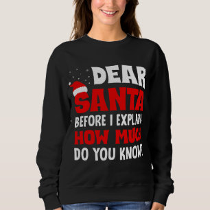 Sudadera Estimado Papá Noel Antes De Explicar Cuánto Sabes