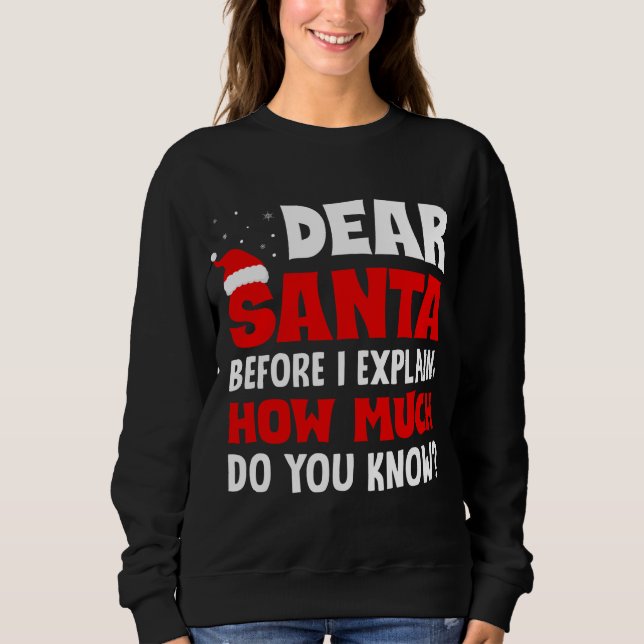 Sudadera Estimado Papá Noel Antes De Explicar Cuánto Sabes  (Anverso)