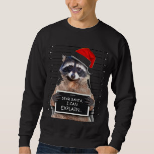Sudadera Estimado Santa I puedo explicar el mapache de Navi