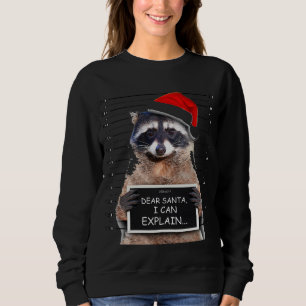Sudadera Estimado Santa I puedo explicar el mapache de Navi