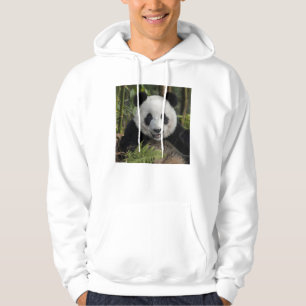 Sudadera Feliz panda joven, China
