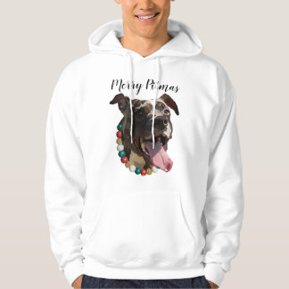 Sudadera Feliz Pitmas Hoodie
