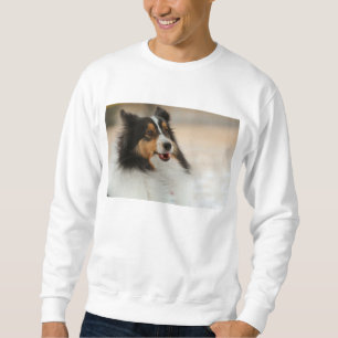 Sudadera Feliz Shelty Sweat Shirt