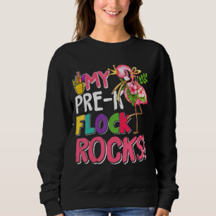 Sudadera Flamingo rosa, mis profesores de las rocas de reba