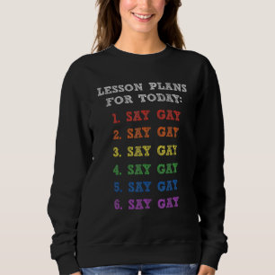 Sudadera Florida Gay Say Gay Lesson Planes Para Hoy Lgbtq G