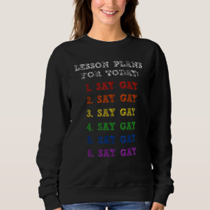 Sudadera Florida Gay Say Gay Lesson Planes Para Hoy Lgbtq G