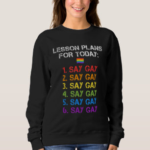 Sudadera Florida Gay Say Gay Lesson Planes Para Hoy Lgbtq G