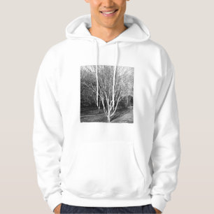 Sudadera Foto cuadrada - Árbol