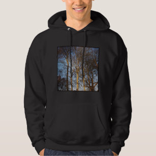 Sudadera Foto cuadrada - Árboles de invierno iluminados por