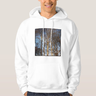 Sudadera Foto cuadrada - Árboles invernales iluminados por