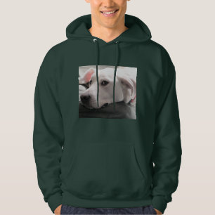 Sudadera Foto de perro con una gran cara
