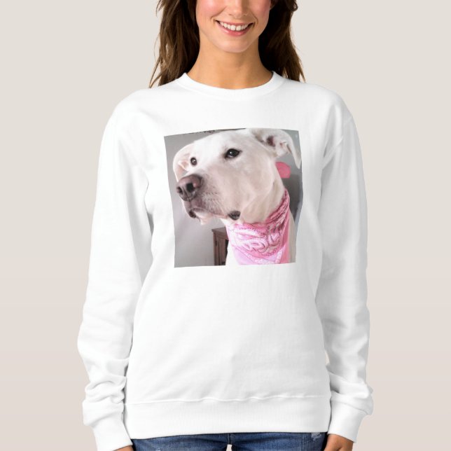 Sudadera Foto de perro tímido de cachorro blanco con bufand (Anverso)