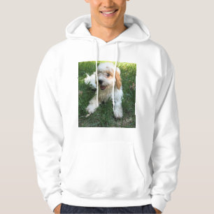 Sudadera Foto personalizada de Cavachon, perro