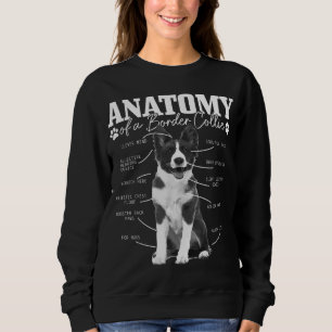 Sudadera Frontera Collie Anatomía Divertida Cute Dog Border